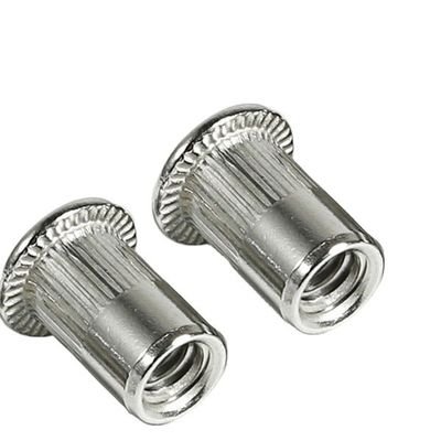 Galvanisierte Flachkopfnutze mit Ekt-Grad 4.8/8.8/10.9/12.9 Vertikalverschlüsse
