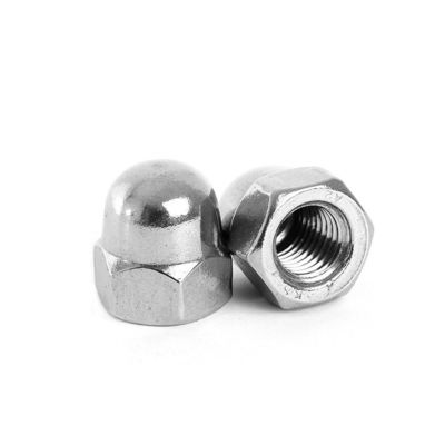 Bauwerk M2-M30 Befestigungsmittel 304 aus Edelstahl Hexagon runden Kopf Nuss mit dekorativer Abdeckung